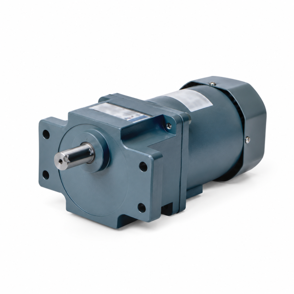 Motor Giảm Tốc Mini Trục Thẳng Có Tai WANSHSIN